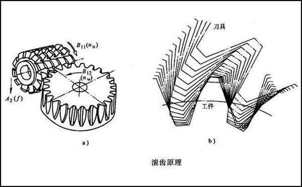 滾齒原理 齒輪滾齒加工